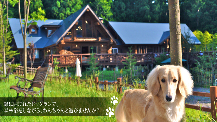 ホテルフェニックスウィング白馬の森 長野県 白馬神城 の格安料金 宿泊プラン 格安旅行の宿泊予約ならトクー