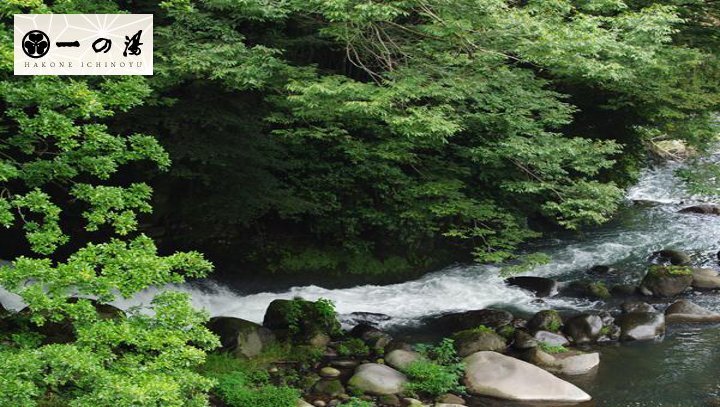 箱根の自然を間近に、渓谷＆つり橋を望むホテルからのロケーション