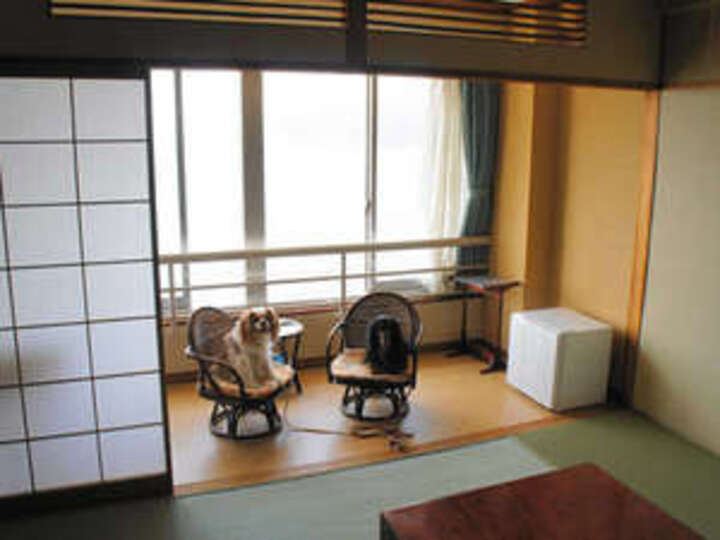わんちゃんと泊まれる！海一望の絶景客室【6畳】.