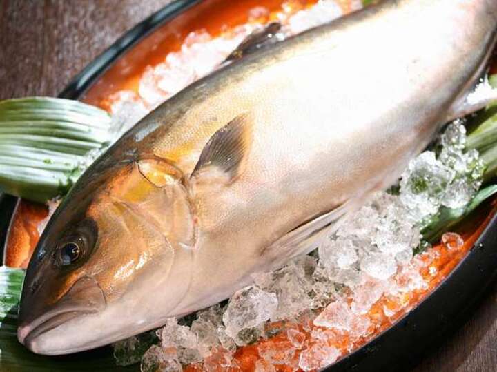 料理