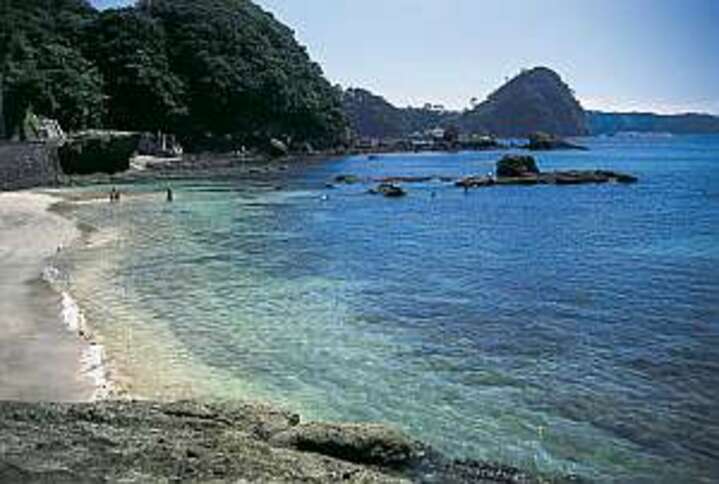 全室南向きオーシャンビュー【ダブル】 .