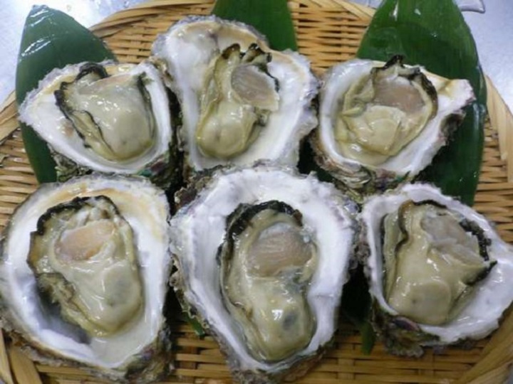 ブリンブリンのカキに感激！夏の天然岩がきは漁次第で食べれるときがあるかも？？
