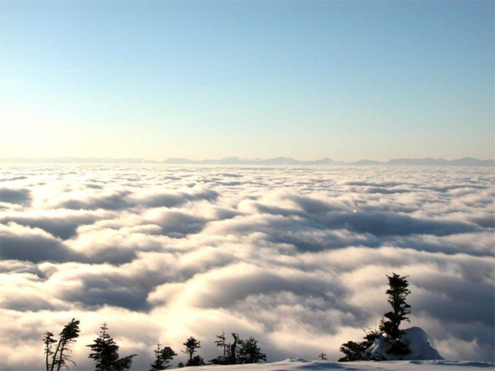 横手山から見る雲海