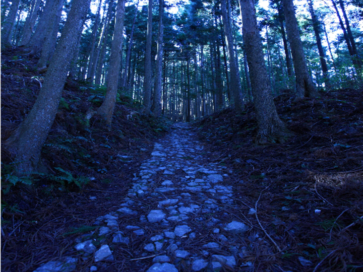 野迫川温泉　ホテルのせ川