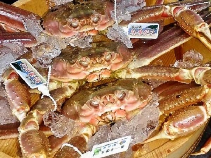 タグ付き松葉蟹