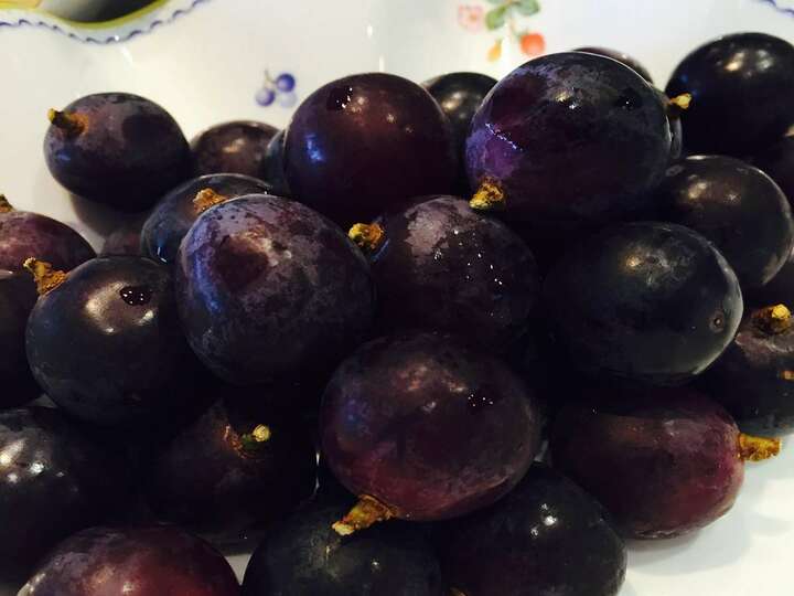 朝食