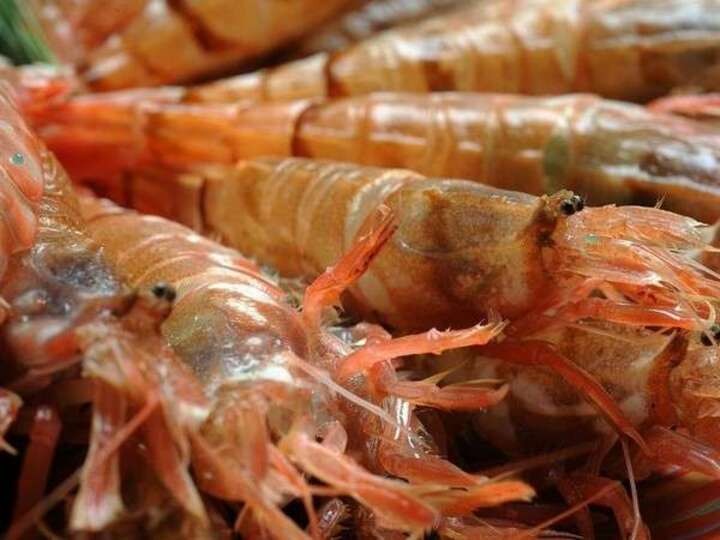 日本海獲れ!!甘味が違う!!美味モサエビ♪焼きがおすすめ!!