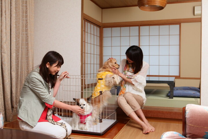 愛犬がいないと泊まれないお部屋 小型犬のみ 離れ[空気清浄機付き].