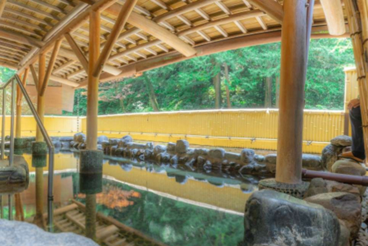 箱根湯本ホテル 別館（神奈川県）美肌温泉と夕朝バイキングが評判の宿が遂に登場！