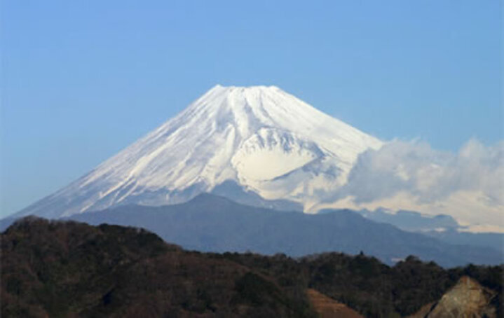 眺望自慢の宿　ニュー八景園